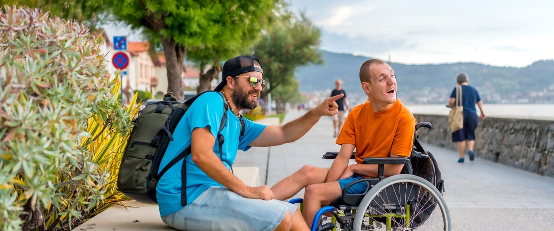 How do i view my profile on the ndis commission portal?