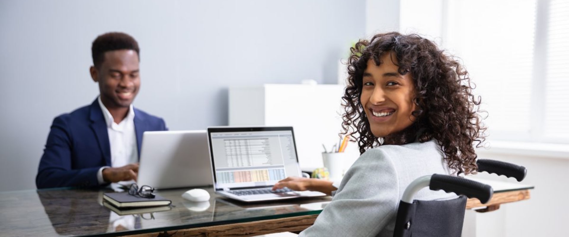 What is the role of the ndis planner?